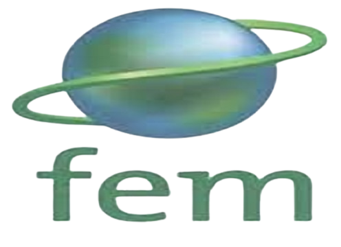 Logo PMF/FEM